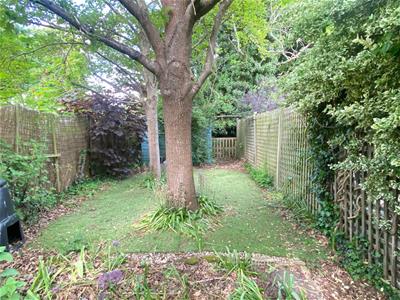 Picture 15